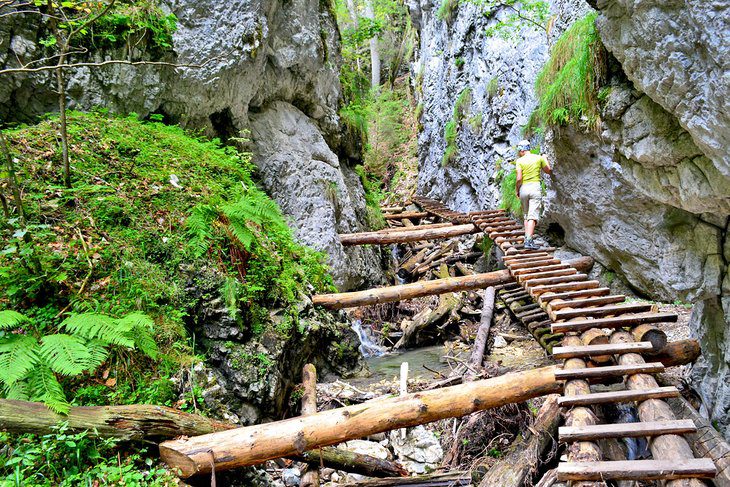 15 Top-Rated Things to Do in Slovakia