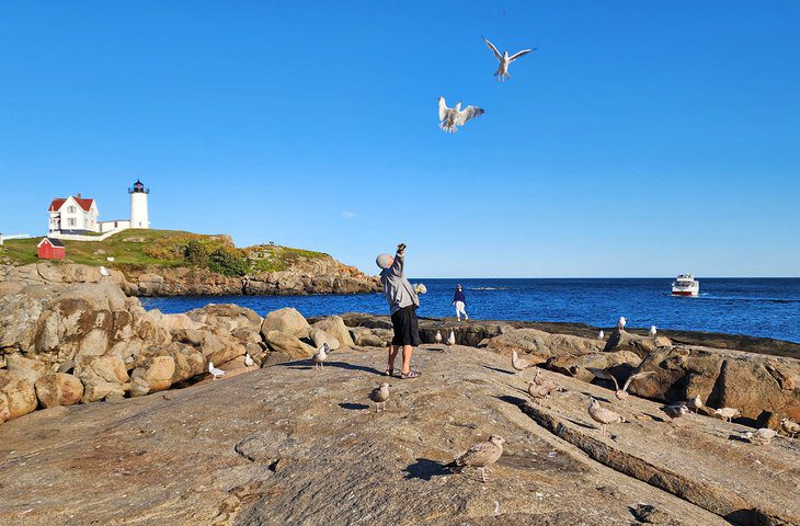 15 Top-Rated Things to Do in York, ME