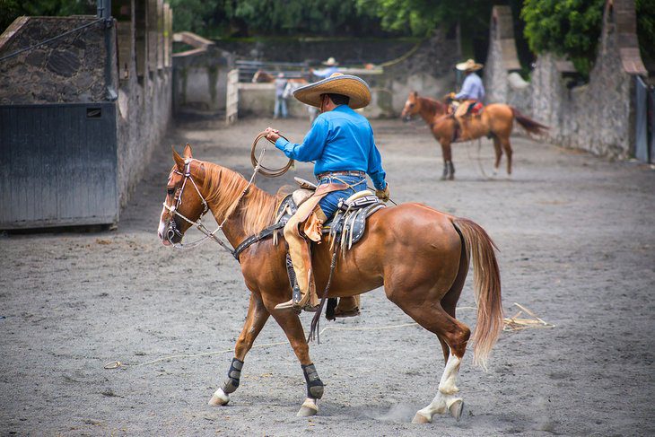 15 Top-Rated Tourist Attractions in Guadalajara