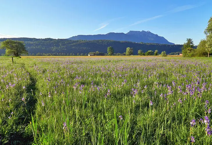 15 Top-Rated Tourist Attractions in Liechtenstein