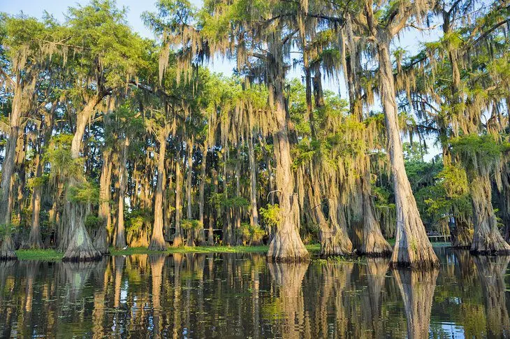 15 Top-Rated Tourist Attractions in Louisiana