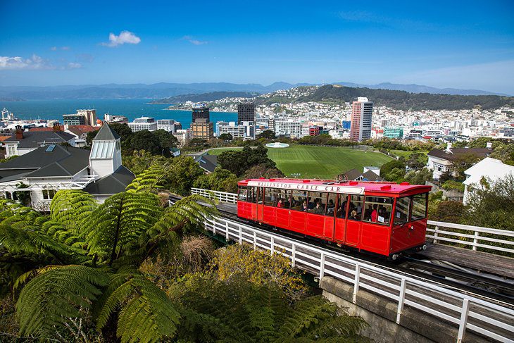 15 Top-Rated Tourist Attractions in Wellington