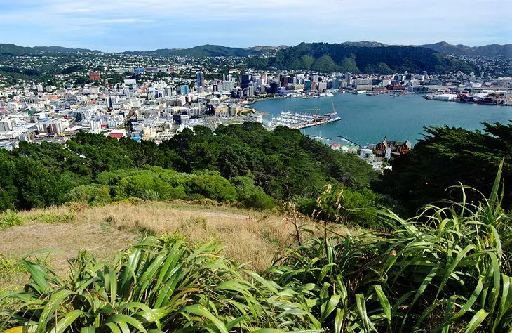 15 Top-Rated Tourist Attractions in Wellington