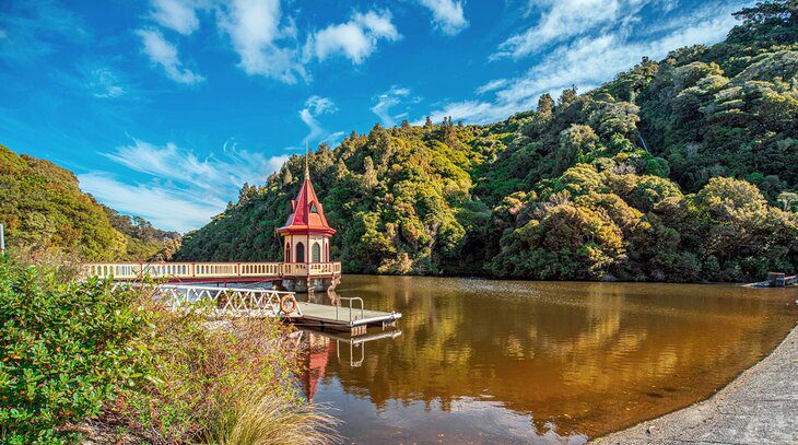 15 Top-Rated Tourist Attractions in Wellington