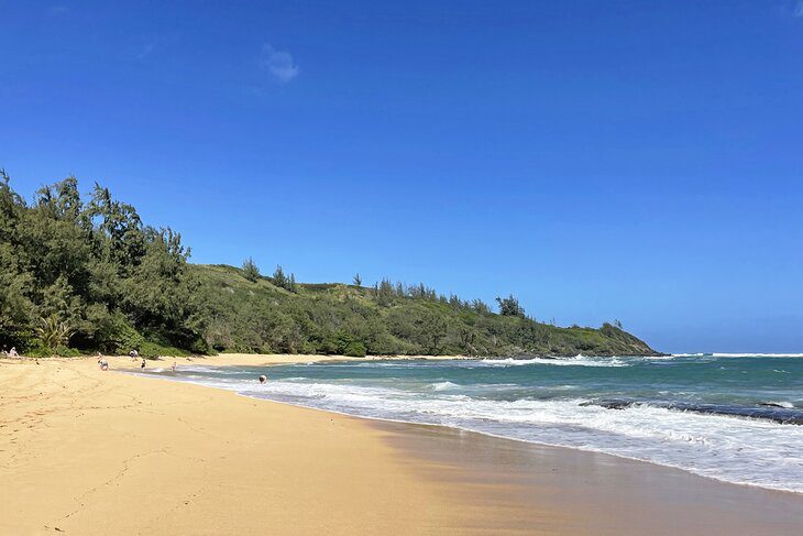 15 Top-Rated Tourist Attractions on Kauai