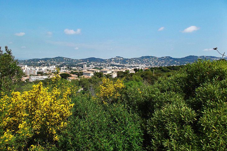 15 Top-Rated Tourist Attractions & Things to Do in Cannes