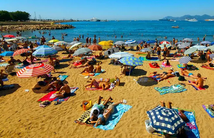 15 Top-Rated Tourist Attractions & Things to Do in Cannes