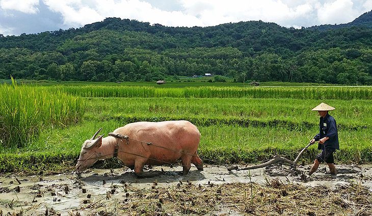 15 Top-Rated Tourist Attractions & Things to Do in Laos