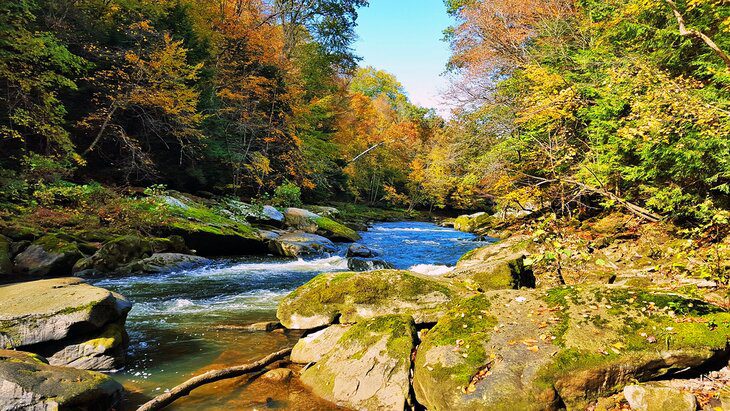 15 Top-Rated White Water Rafting & Kayaking Destinations in Pennsylvania