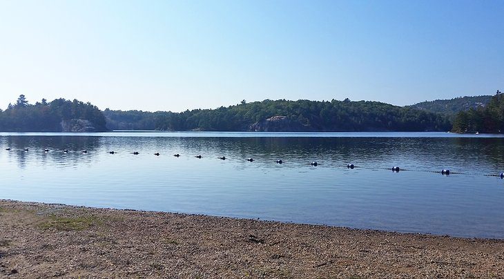 15 Top Things to Do in Killarney Provincial Park, Ontario