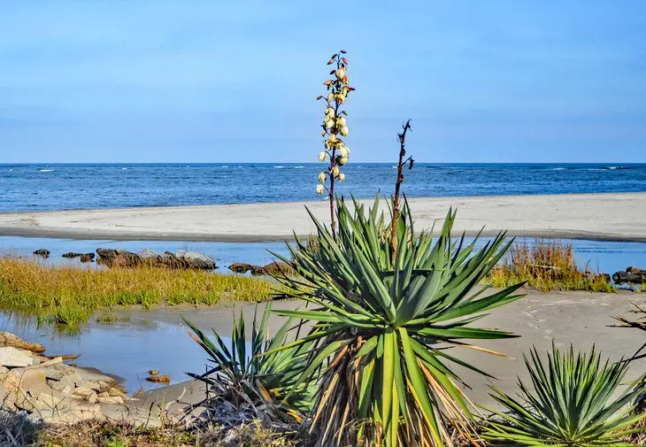 16 Best Beaches in Georgia