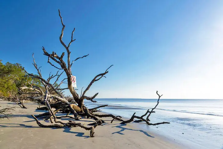 16 Best Beaches in Georgia