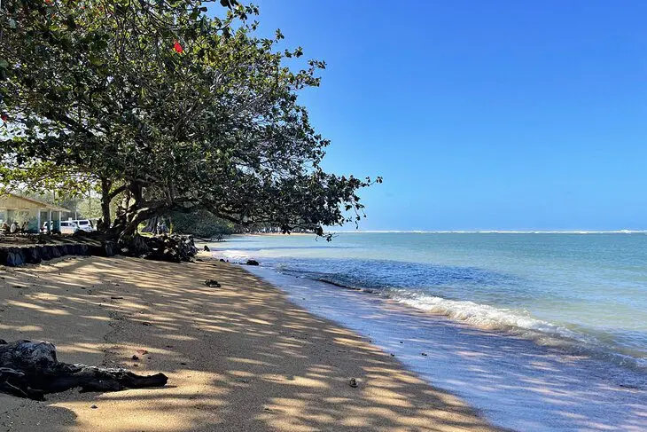 16 Best Beaches in Kauai, HI