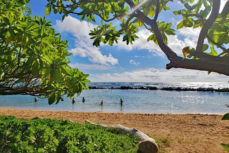 16 Best Beaches in Kauai, HI