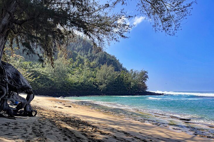 16 Best Beaches in Kauai, HI