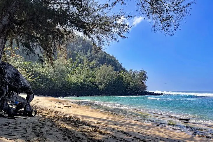 16 Best Beaches in Kauai, HI