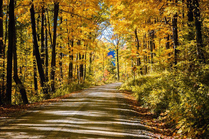 16 Best Drives to See Fall Foliage in New York