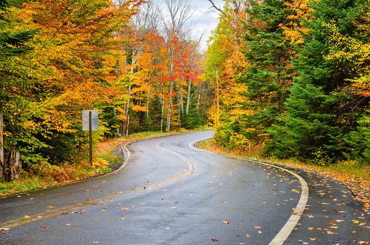 16 Best Drives to See Fall Foliage in New York