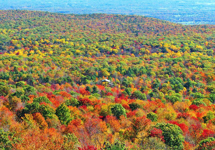 16 Best Drives to See Fall Foliage in New York