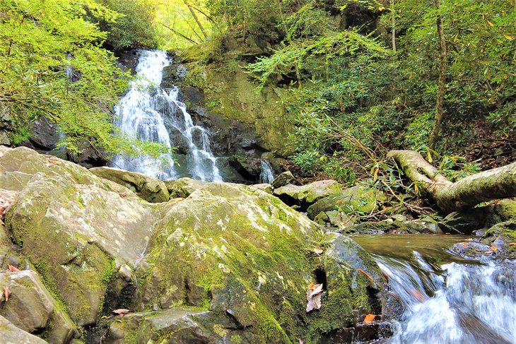 16 Best Hiking Trails near Gatlinburg, TN