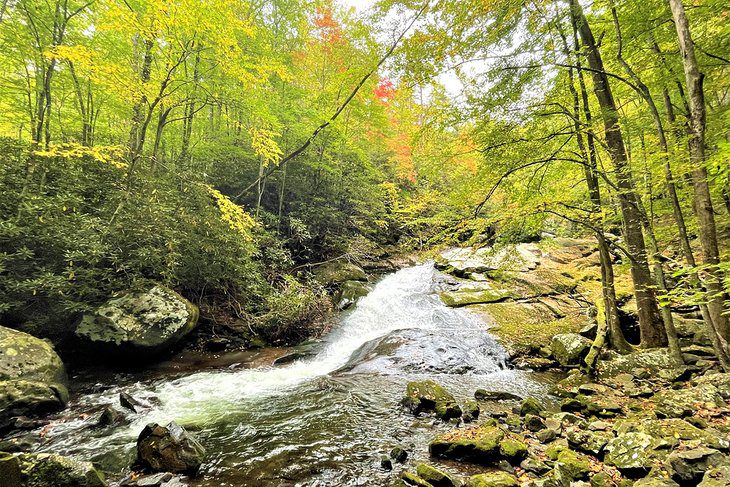 16 Best Hiking Trails near Gatlinburg, TN