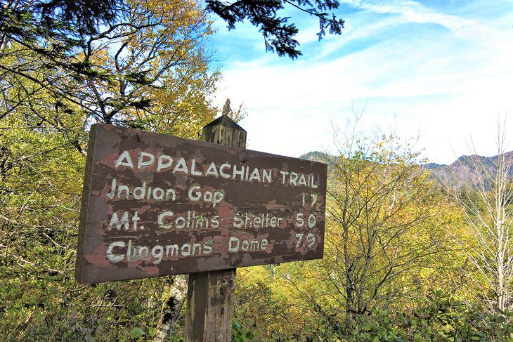 16 Best Hiking Trails near Gatlinburg, TN