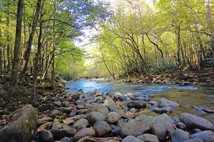 16 Best Hiking Trails near Gatlinburg, TN