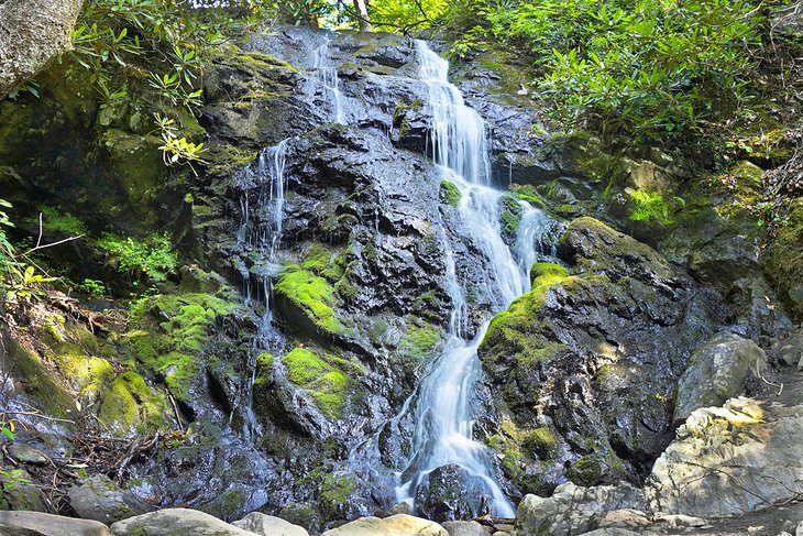 16 Best Hiking Trails near Gatlinburg, TN