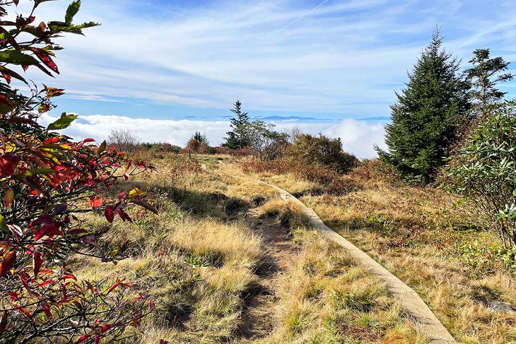 16 Best Hiking Trails near Gatlinburg, TN