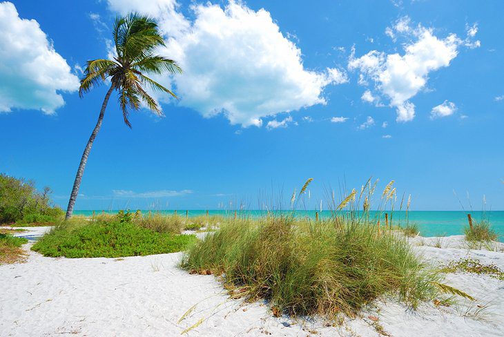 16 Best Honeymoon Destinations in Florida