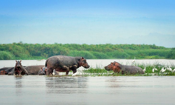 16 Best Lakes in Africa