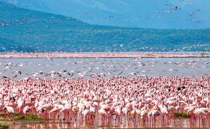 16 Best Lakes in Africa