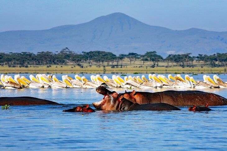 16 Best Lakes in Africa