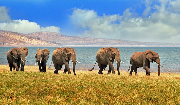 16 Best Lakes in Africa