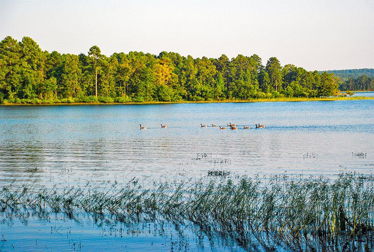 16 Best Lakes in Arkansas