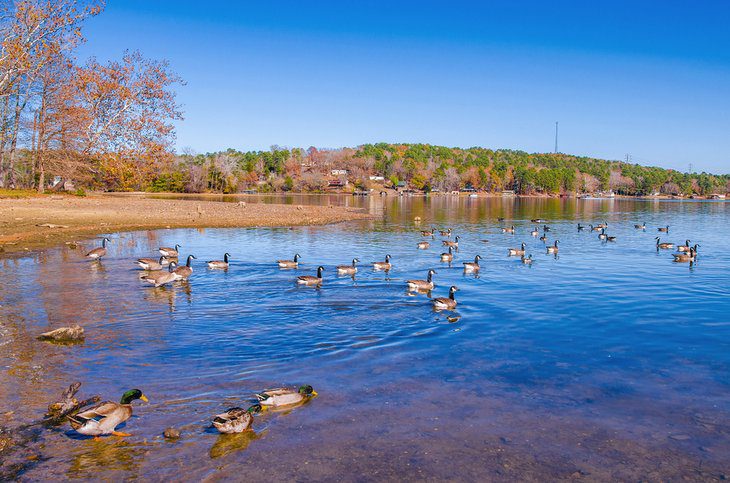 16 Best Lakes in Arkansas