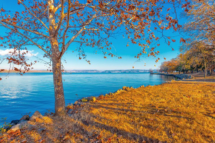 16 Best Lakes in Arkansas