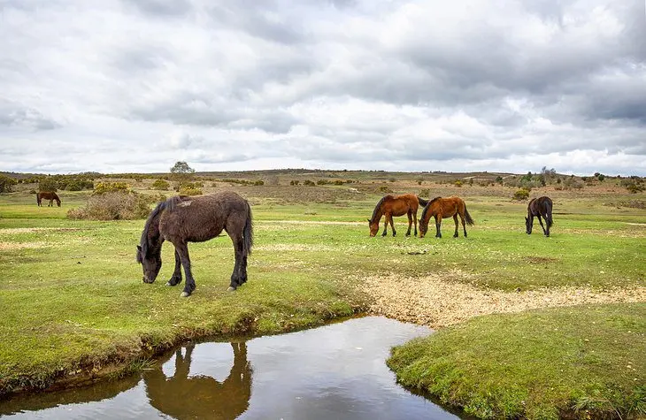 16 Best Places to Visit in Winter in the UK