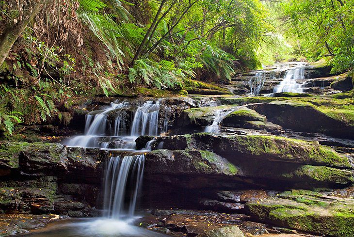 16 Top Attractions & Places to Visit in the Blue Mountains, Australia