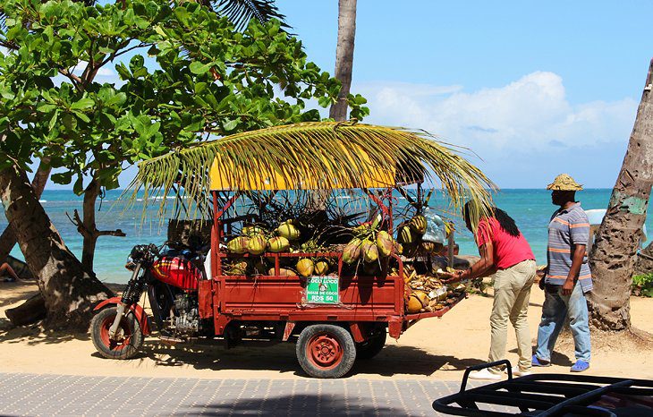 16 Top Attractions & Things to Do in the Dominican Republic