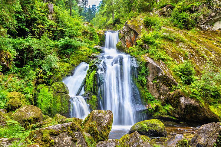 16 Top-Rated Attractions & Places to Visit in the Black Forest