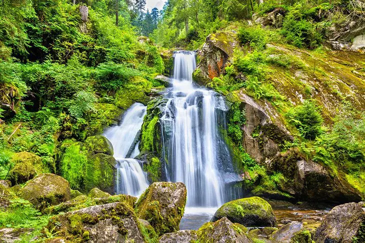 16 Top-Rated Attractions & Places to Visit in the Black Forest