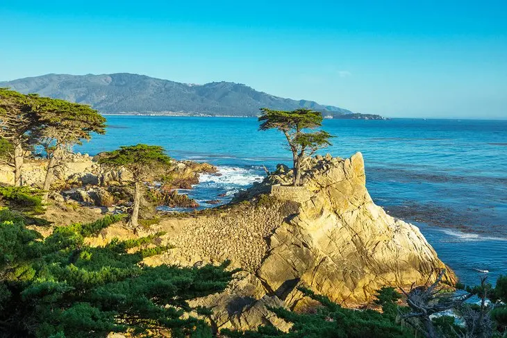 16 Top-Rated Attractions & Things to Do in Big Sur, CA