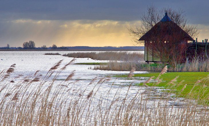 16 Top-Rated Attractions & Things to Do in Groningen