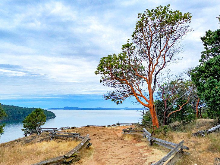 16 Top-Rated Attractions & Things to Do in Puget Sound, WA