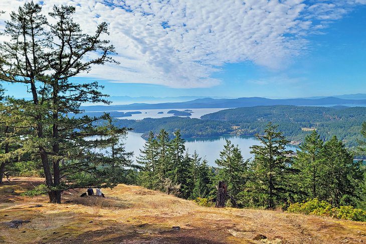 16 Top-Rated Attractions & Things to Do in Puget Sound, WA