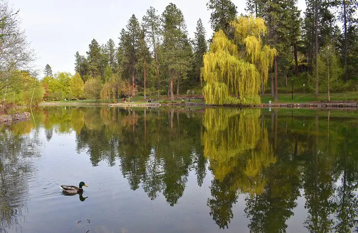 16 Top-Rated Attractions & Things to Do in Spokane, WA