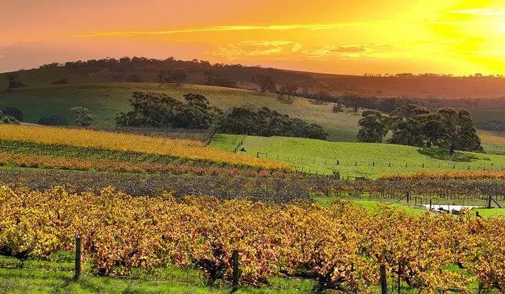 16 Top-Rated Attractions &#038; Things to Do in the Barossa Valley