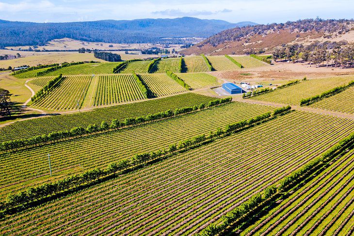 16 Top-Rated Attractions & Things to Do in the Barossa Valley