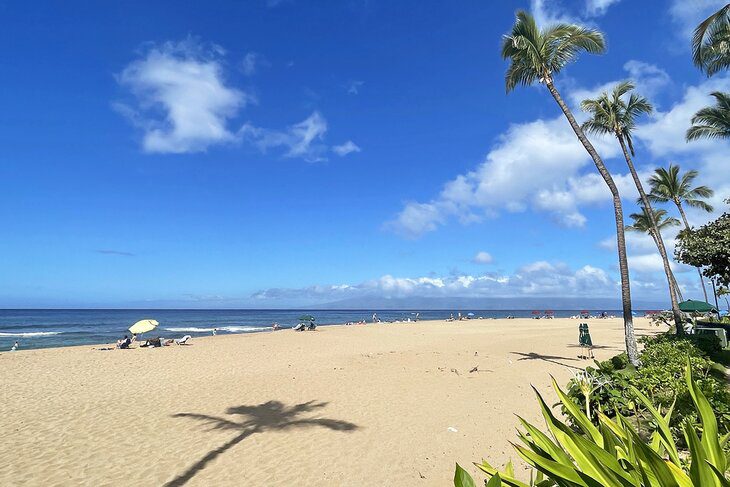 16 Top-Rated Beaches in Maui